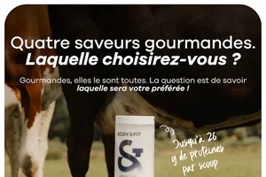 Quelle est votre saveur préférée ?