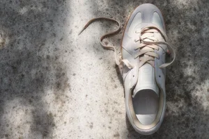 New in sneakers worth a scroll