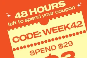 48 hours left: Your discount code expires soon! ⏰