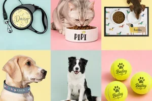 Pour les plus chouchoutés de la maison 🐾