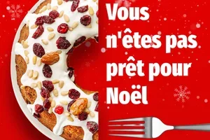 Vous n'êtes pas prêt pour le 25 décembre 🧑‍🎄🌿