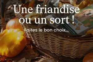 Fêtez Halloween avec vos loulous 🎃🐾