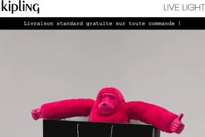 BLACK FRIDAY | Nouveaux produits ajoutés - Jusqu'à 50 % de réduction 🛍️