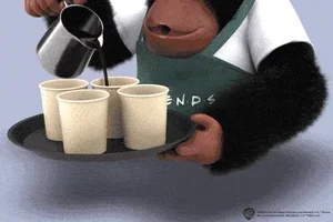 Ils débarquent : Kipling x Friends
