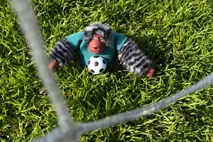 Prêt pour le coup d'envoi ⚽