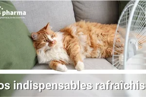 Voici comment vous rafraîchir pendant cette chaleur 🥵