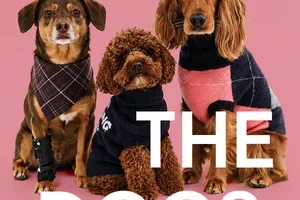 MEET THE DOGS | Shop & win a getaway worth €1,370