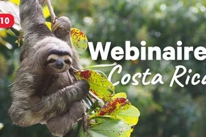 Webinaire gratuit sur le Costa Rica le 20 octobre | Tous les conseils pour votre voyage de rêve
