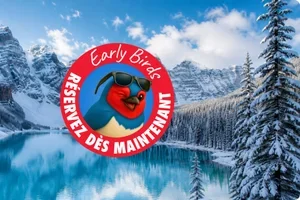 Évadez-vous vers les plus belles destinations hivernales