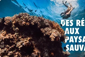 Les voyages qui nous font rêver