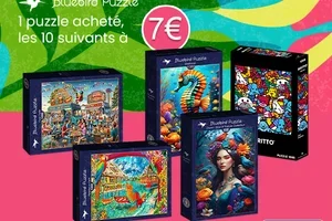 🧩 Bluebird : 1 acheté, les 10 suivants à 7€