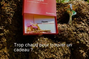 SUMMER26 est maintenant disponible sur les cadeaux