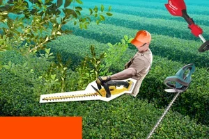 Il est temps de remettre votre jardin en ordre