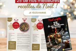 CADEAU : 25 de nos meilleures recettes de Noel à télécharger gratuitement   🎁