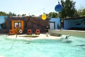 Tendances près de chez vous : Journée au Mont Mosan : carrousels, dinosaures, spectacles animaliers et attractions à gogo (25% de remise)