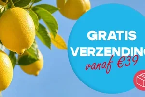 Je nieuwe promocodes staan klaar ✅