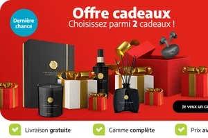 🎁 Ne passez pas à côté de votre cadeau !
