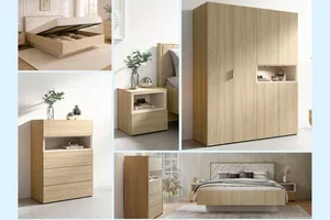 Découvrez la nouvelle collection TENDANCE !