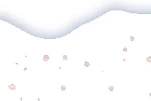 Beat the deadline: guaranteed holiday delivery 🎁