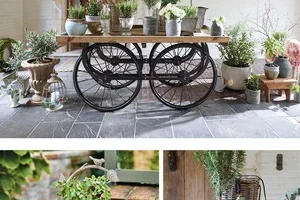Compositions d’automne : citrouilles et plantes célèbrent les récoltes 🌻