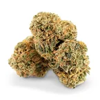 Lemon Haze - Fleur CBD