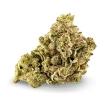 Bubble Gum - Fleur CBD