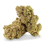 Tropicana - Fleur CBD