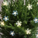 Guirlande Lumineuse Micro LED Fleurs Bleu Nuancé