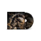 Alluvial - Sarcoma - CD
