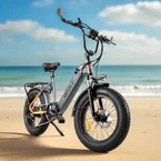 Vakole SG20 250W 20" Fat Bike 691Wh VTC Électrique Polyvalent 48V 14.4Ah Batterie