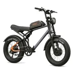 Vakole Q20 MAX Double Moteur 750W x 2 20" Fat Bike électrique avec 48V 20Ah Batterie de Samsung