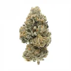 OG Kush HHX